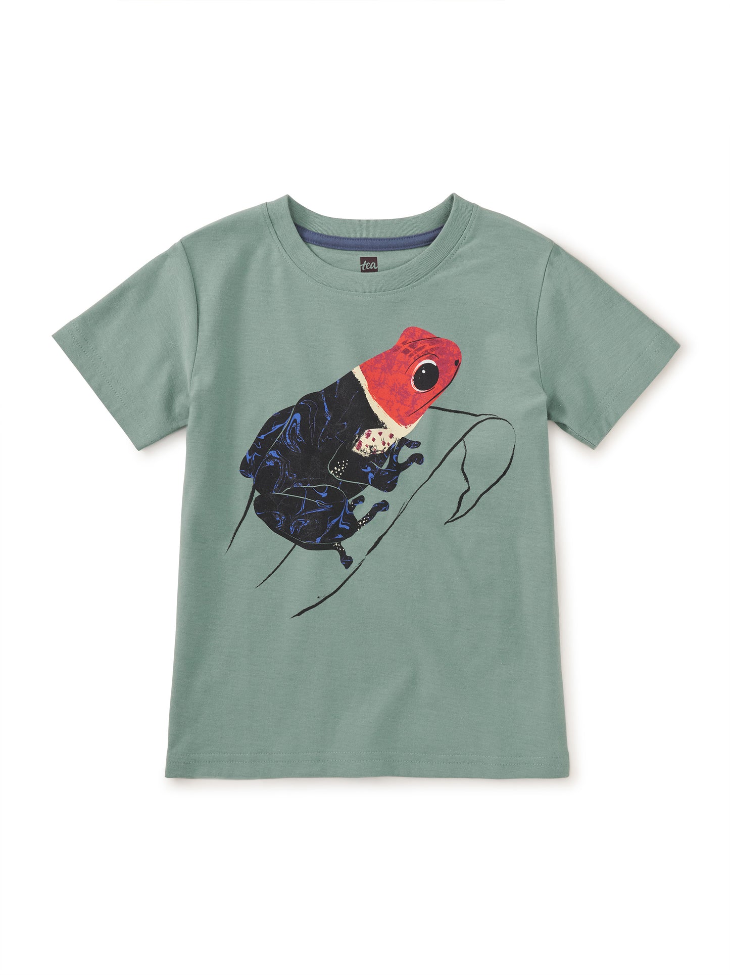 Boys Graphic Tee - Poison Dart Frog