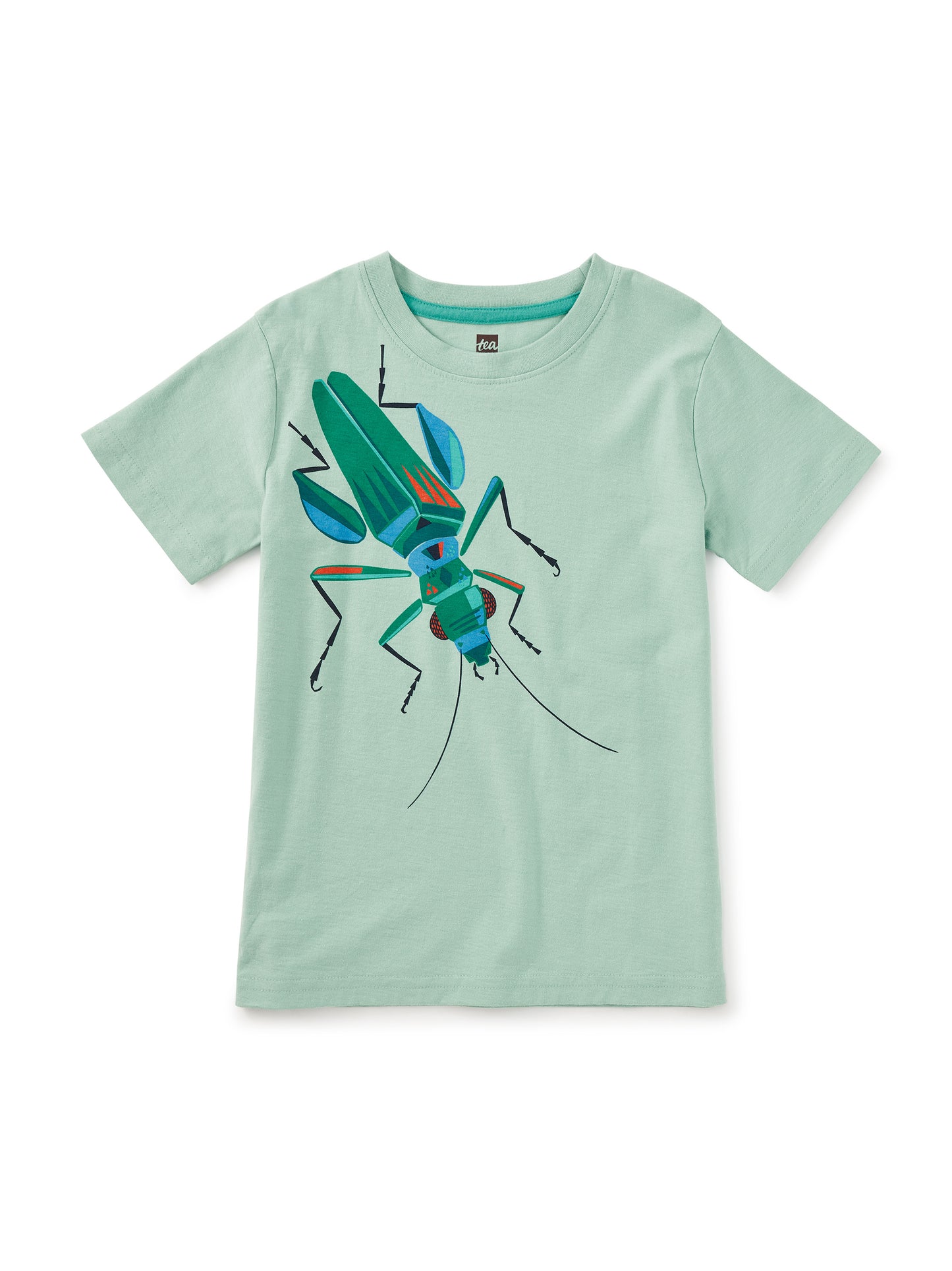 Boys Graphic Tee - Beetle