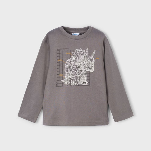 4088 - Boys Graphic Tee - Dino