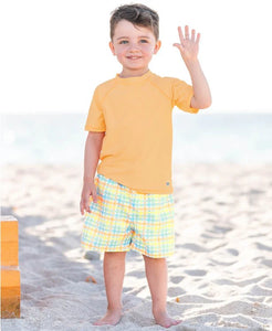 Swim Trunk - Multi Plaid