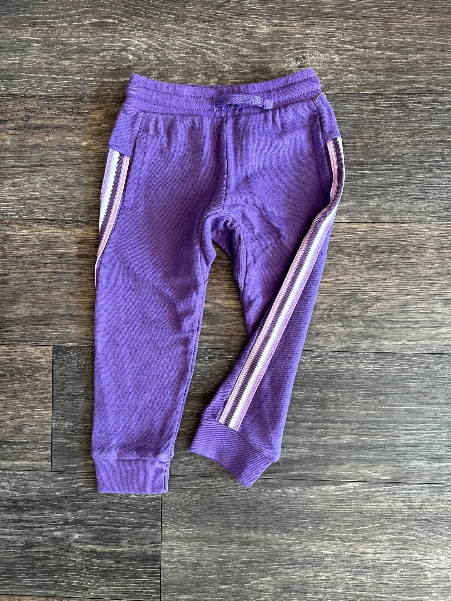 Stripe Out Jogger - Ultraviolet