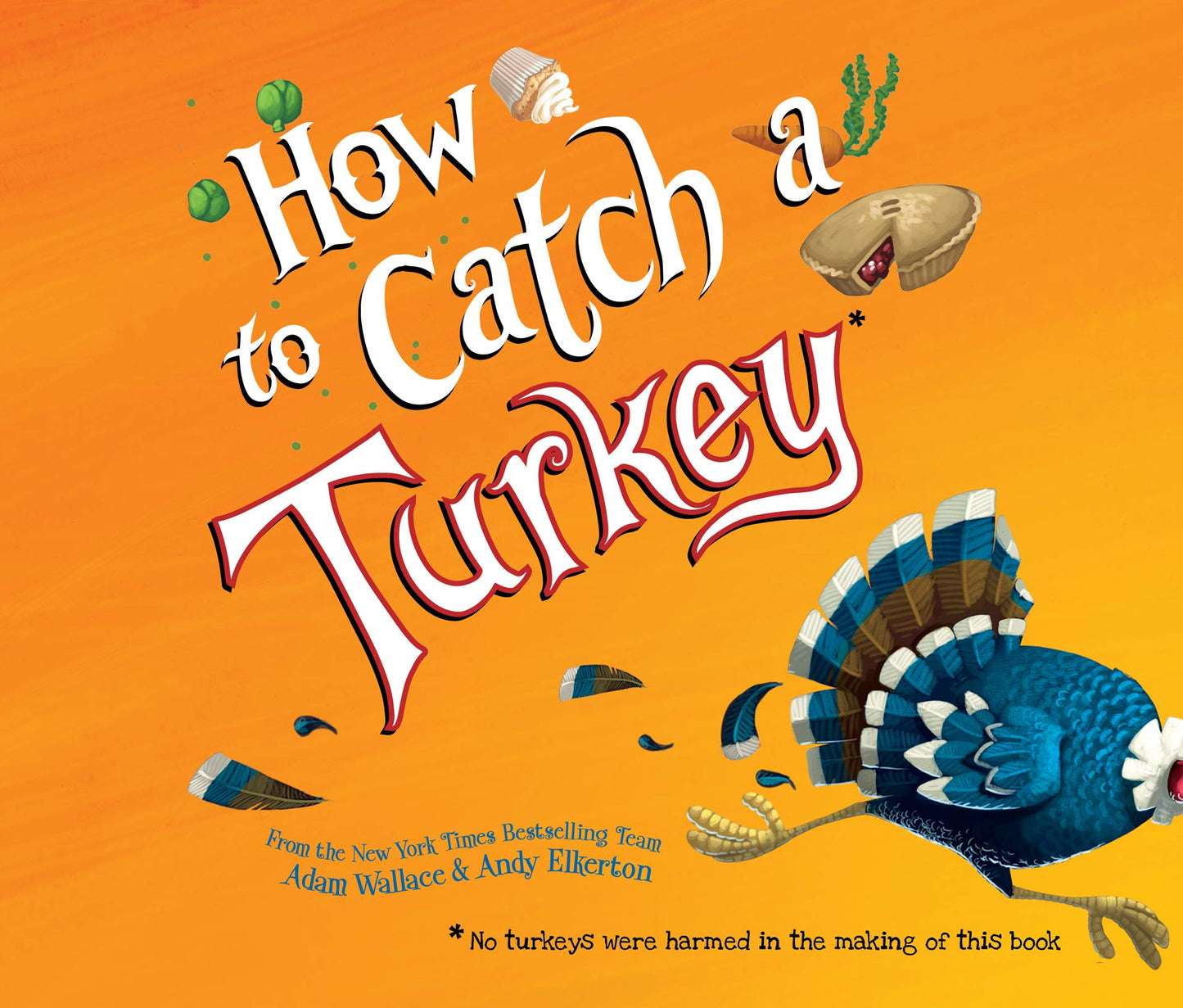How to Catch a Turkey Book